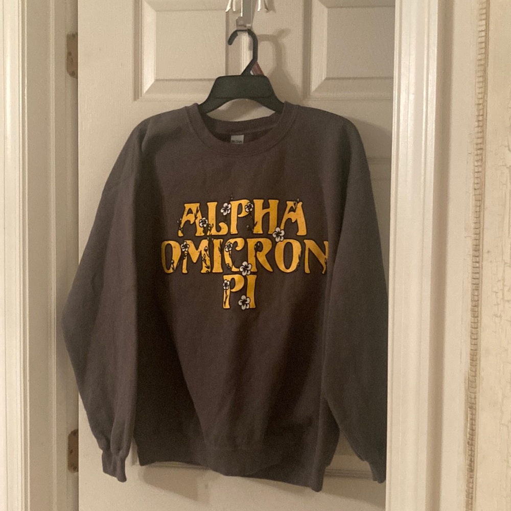 Alpha Omicron Pi/AOII Gray Crewneck